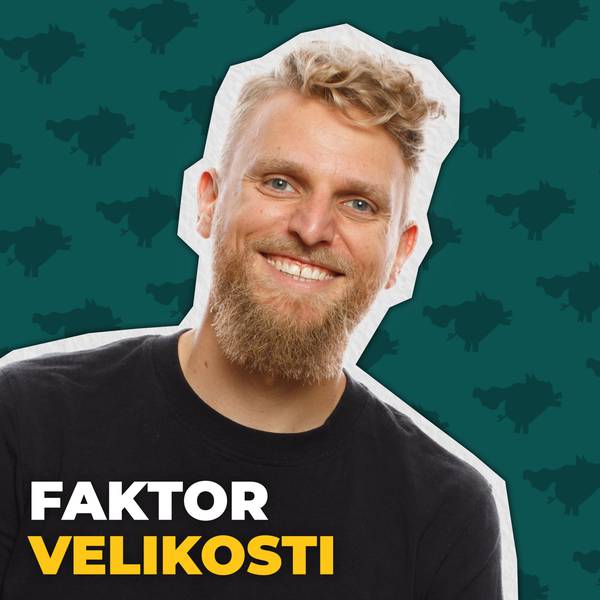 Rozbité prasátko